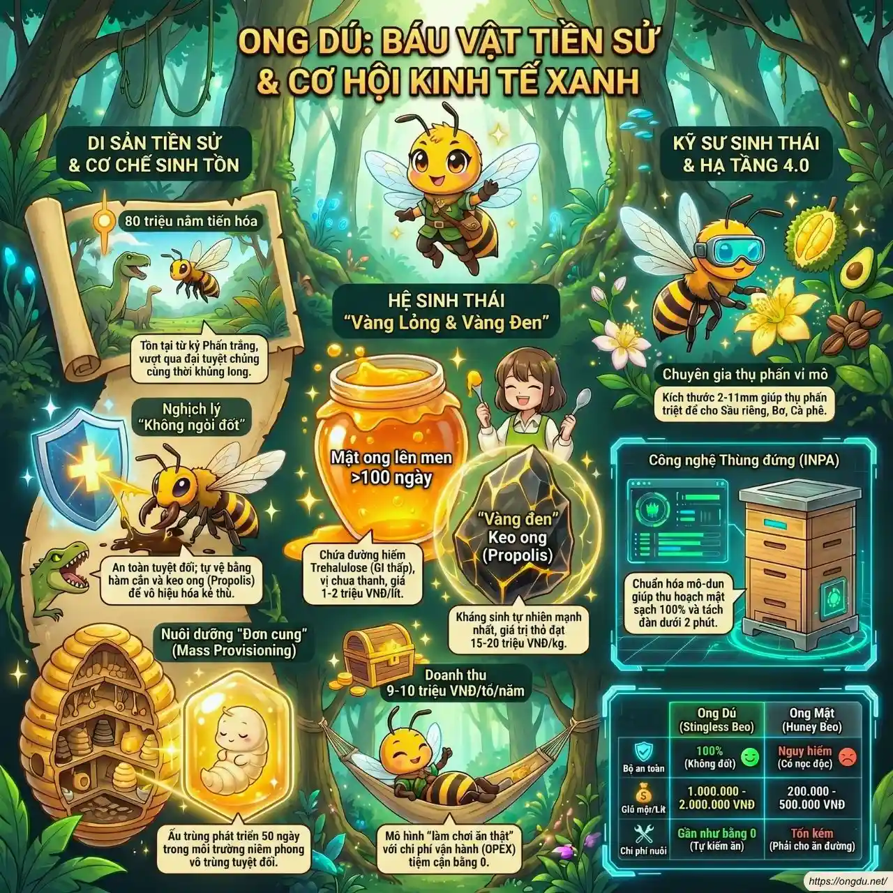 Tổng quan về ong dú và mô hình nuôi ong dú bền vững tại Việt Nam
