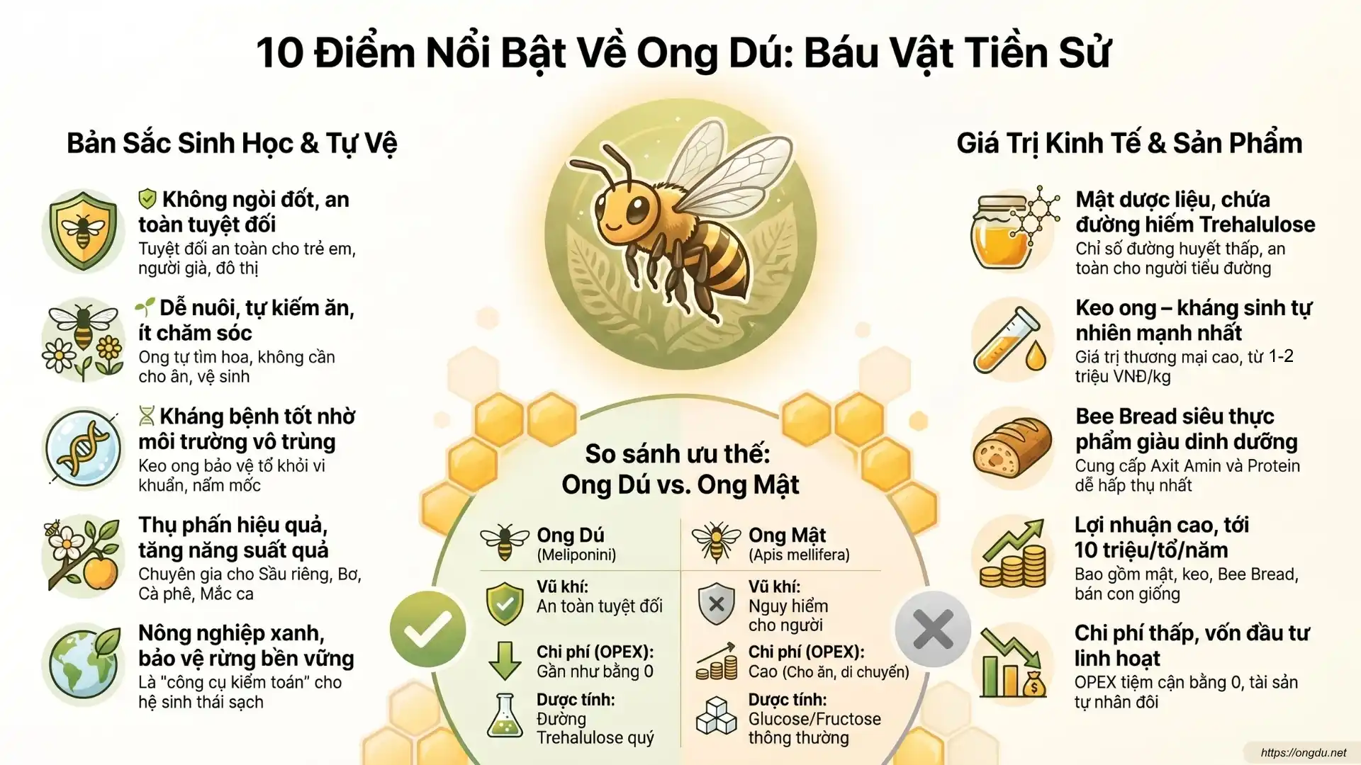 10 điều thú vị về Ong Dú – loài ong không ngòi đốt với nhiều đặc điểm độc đáo.