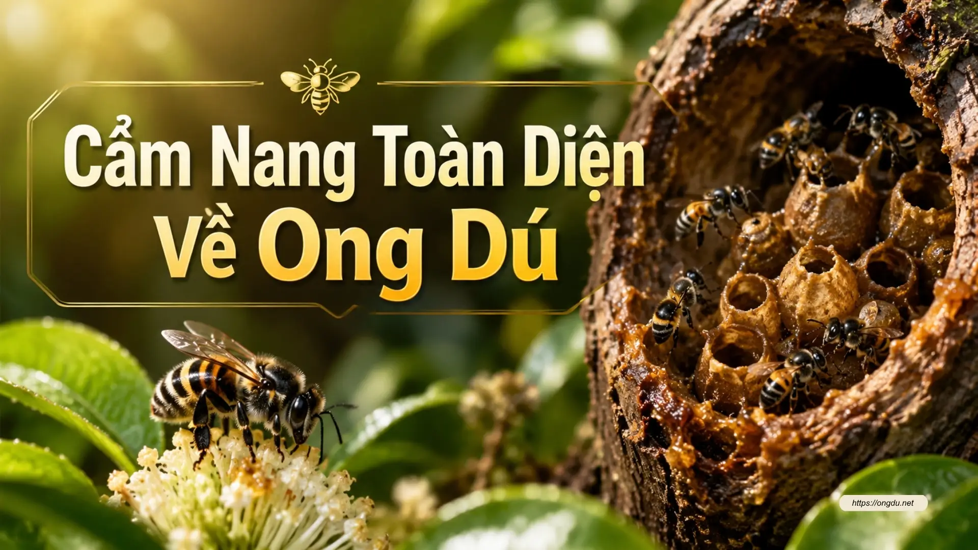 Cẩm nang toàn diện về ong dú, tổng hợp kiến thức nuôi ong dú, thụ phấn cây trồng và các sản phẩm từ ong dú.