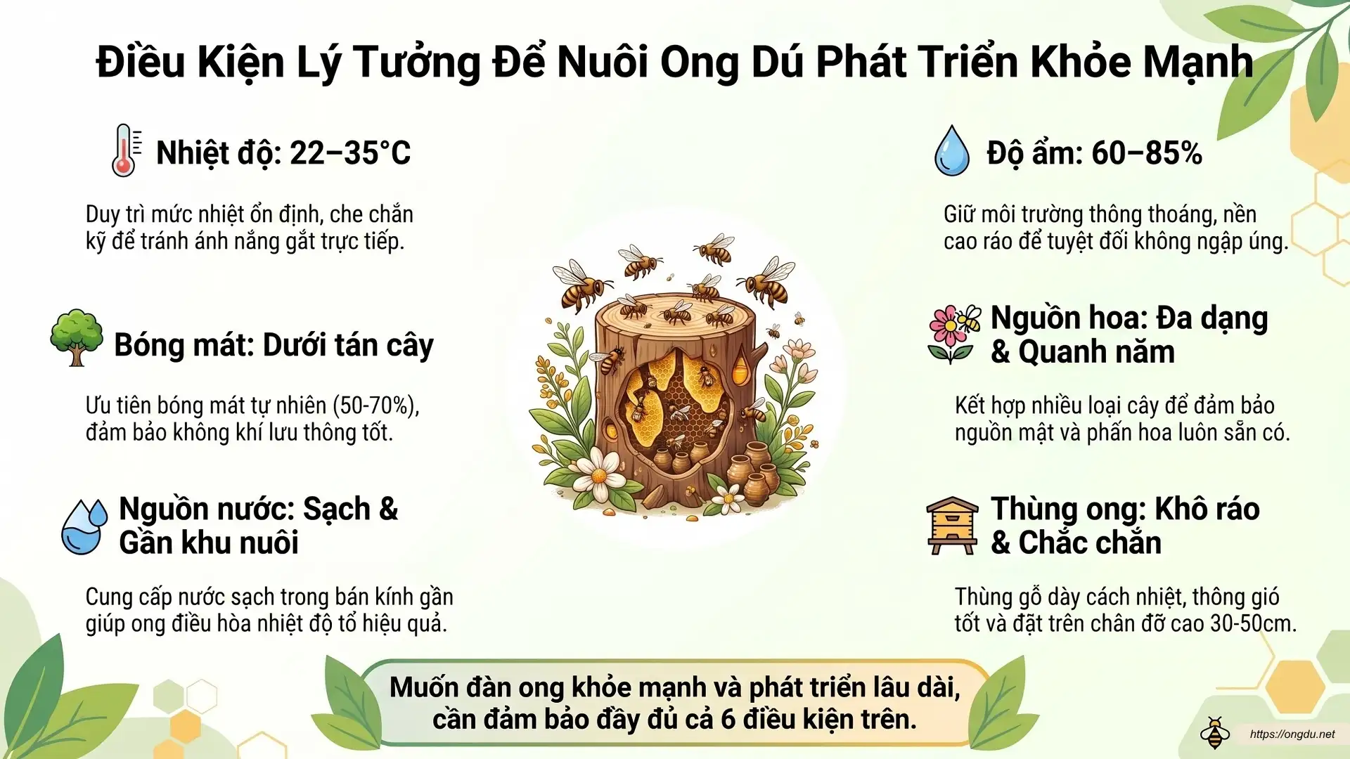 Điều kiện nuôi Ong Dú lý tưởng gồm nhiệt độ ổn định, nguồn hoa quanh năm, môi trường yên tĩnh và nơi đặt tổ an toàn.