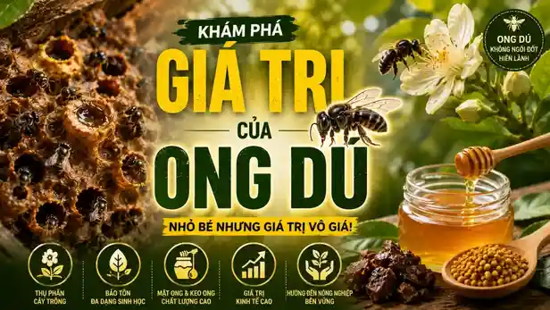 Giá Trị Của Ong Dú: Từ Thiên Nhiên Đến Nền Kinh Tế Bền Vững
