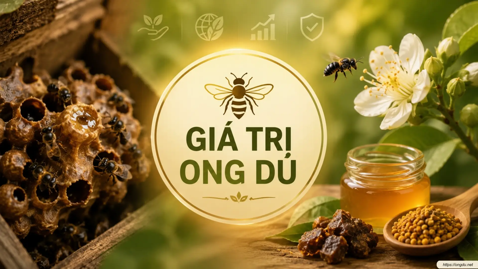 Giá trị của ong dú trong thụ phấn cây trồng, bảo tồn đa dạng sinh học và phát triển nông nghiệp bền vững.