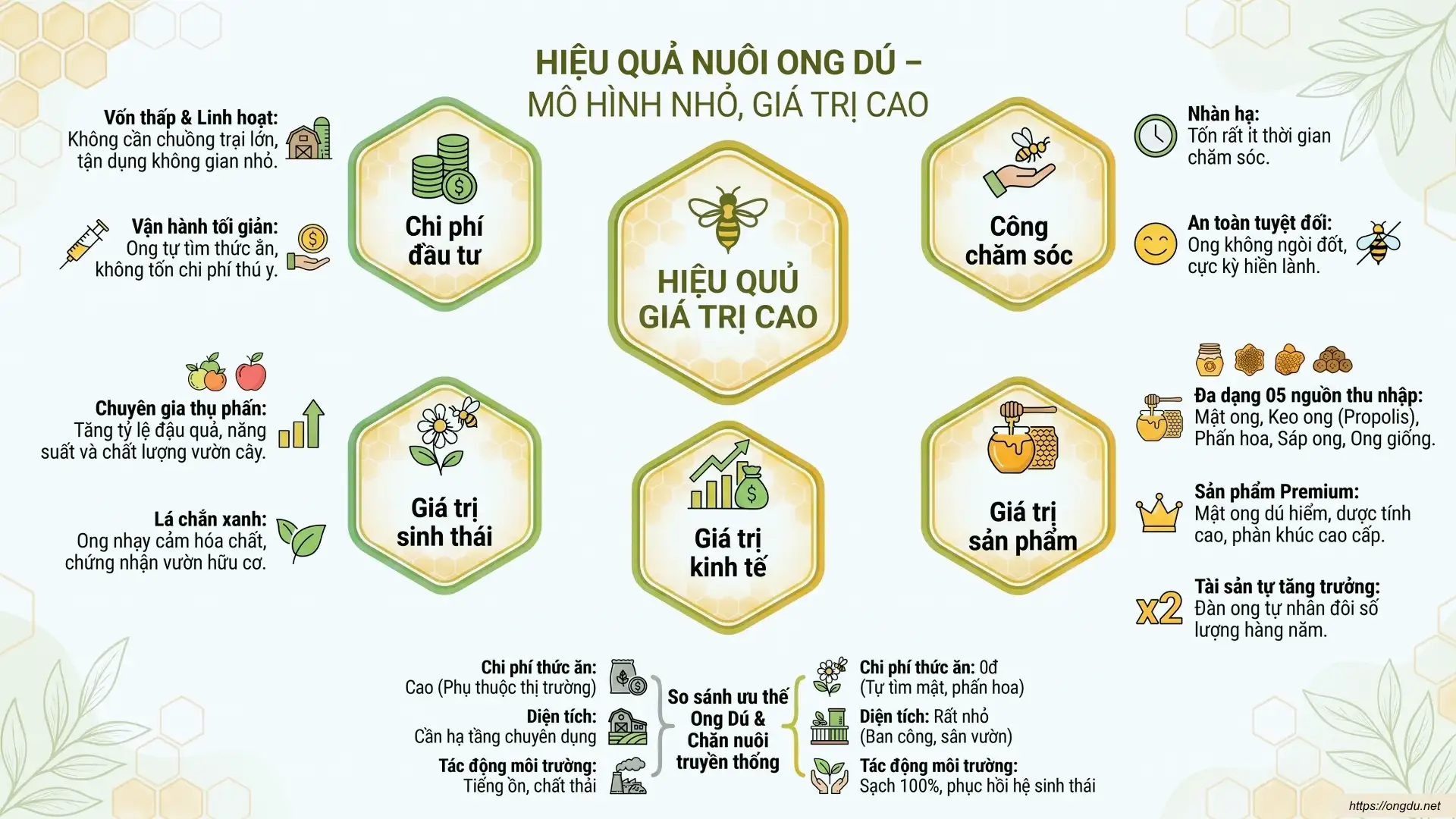 Infographic minh họa hiệu quả nuôi ong dú với mô hình nhỏ, tạo giá trị cao từ mật ong, ong giống, thụ phấn cây trồng và nông nghiệp xanh.