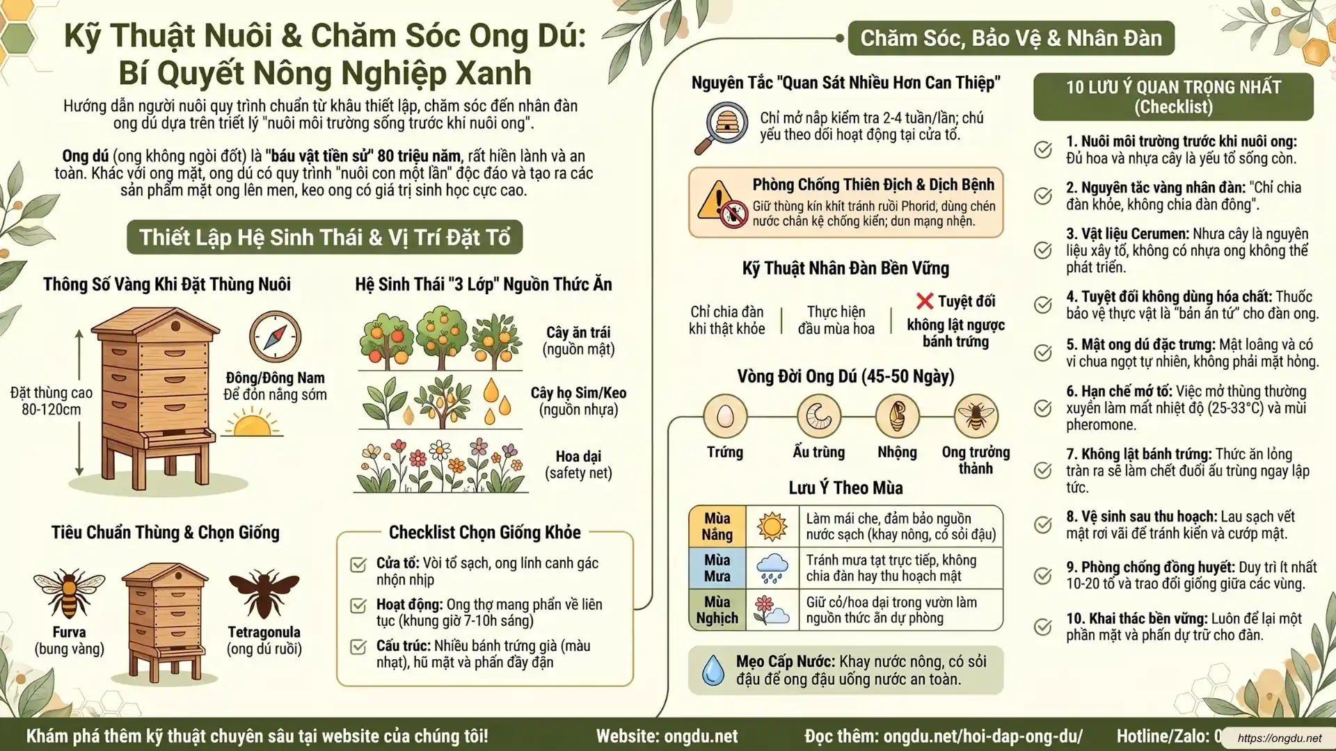 Kỹ thuật nuôi, chọn giống và các loài Ong Dú phổ biến tại Việt Nam.