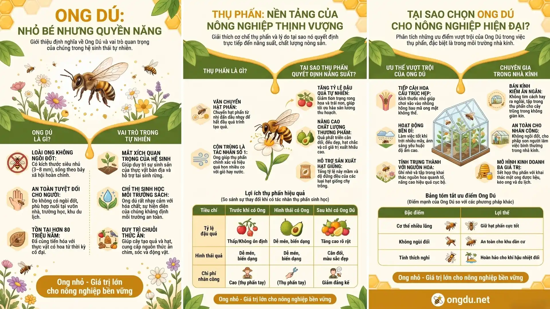 Ong dú thụ phấn cây trồng, góp phần tăng năng suất, chất lượng nông sản và phát triển nền nông nghiệp hiện đại, bền vững.