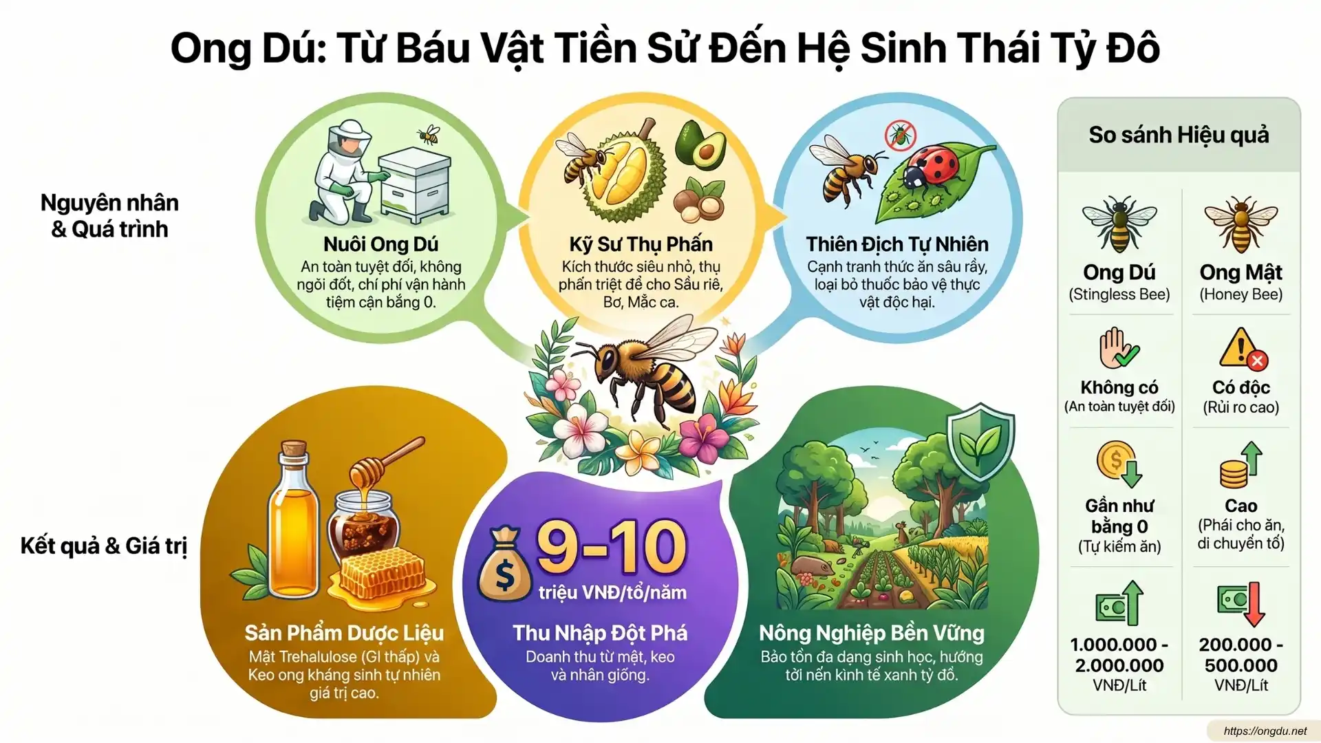 Ong Dú – từ báu vật tiền sử đến hệ sinh thái tỷ đô với giá trị thụ phấn, mật ong và nông nghiệp xanh.