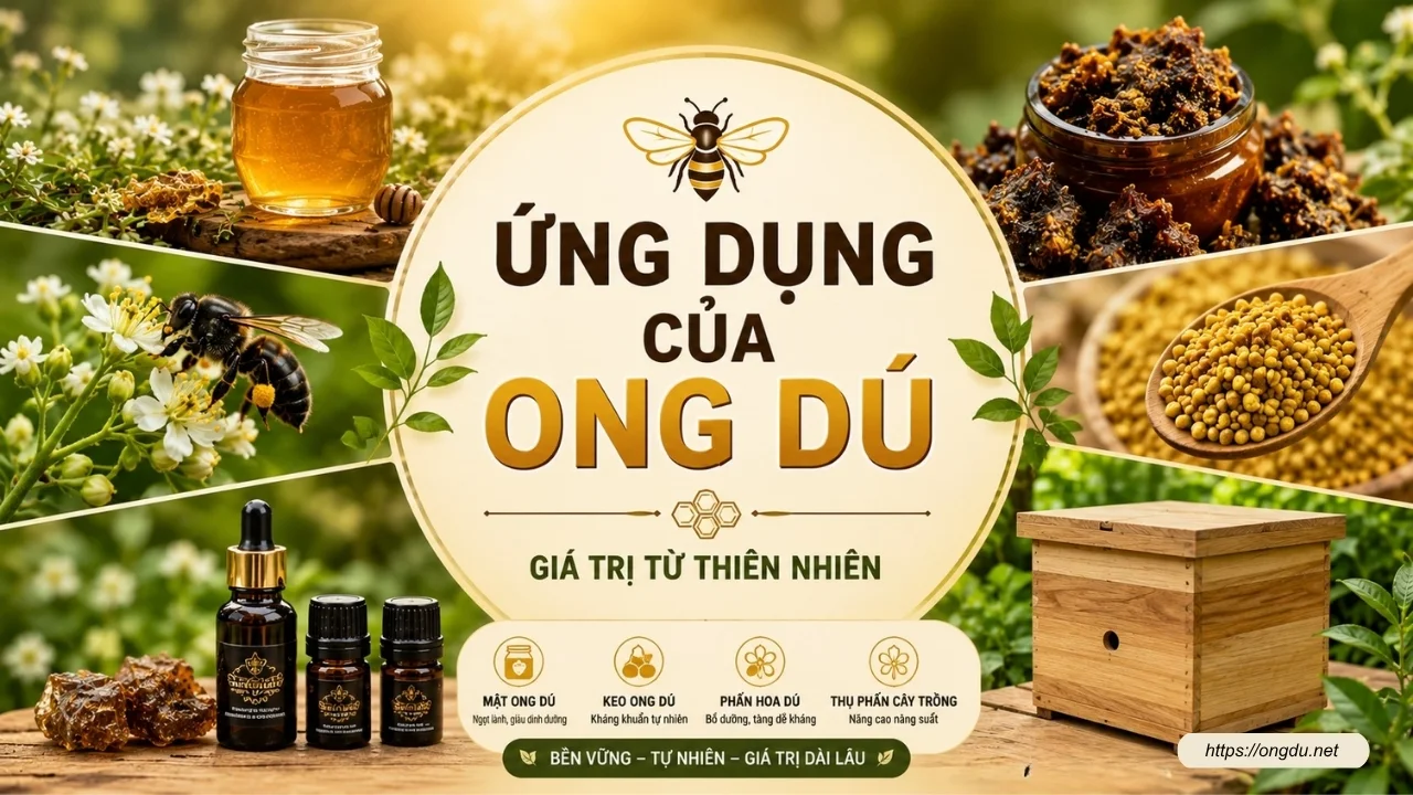 Ứng dụng ong dú trong thụ phấn cây trồng, bảo tồn đa dạng sinh học và phát triển kinh tế xanh